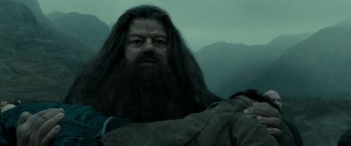RdM2-Potterish_11331.jpg