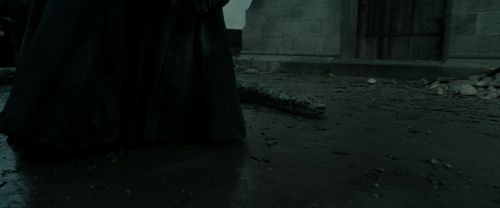 RdM2-Potterish_11395.jpg