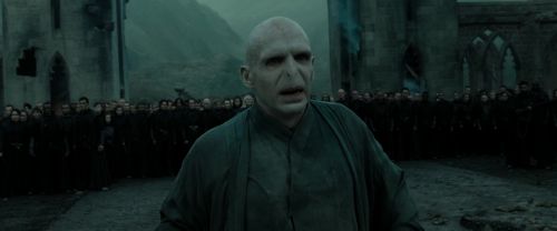 RdM2-Potterish_11456.jpg