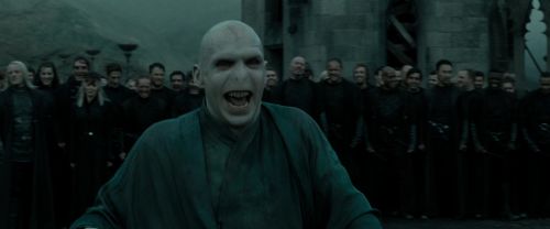 RdM2-Potterish_11504.jpg