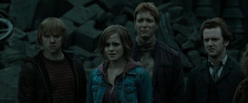 RdM2-Potterish_11775.jpg