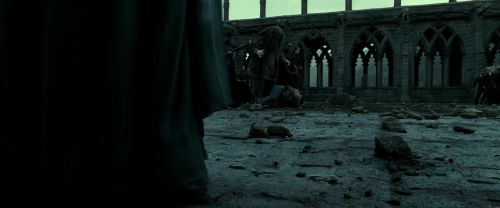 RdM2-Potterish_11831.jpg