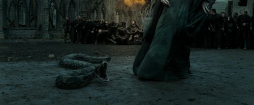 Click to view full size image
==============
RdM2-Potterish_11838.jpg RdM2-Potterish_11838.jpg