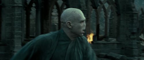 RdM2-Potterish_11870.jpg
