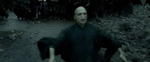 RdM2-Potterish_11886.jpg
