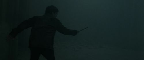 RdM2-Potterish_11915.jpg