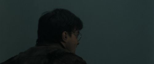 RdM2-Potterish_11922.jpg