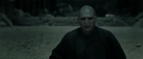 RdM2-Potterish_11967.jpg