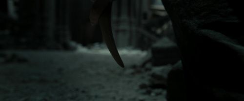 RdM2-Potterish_11974.jpg