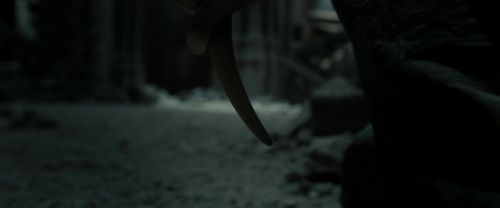 RdM2-Potterish_11975.jpg