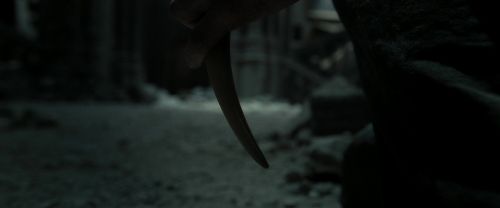 Click to view full size image
==============
RdM2-Potterish_11976.jpg RdM2-Potterish_11976.jpg