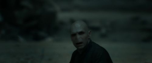 RdM2-Potterish_11992.jpg