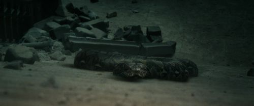 Click to view full size image
==============
RdM2-Potterish_12031.jpg RdM2-Potterish_12031.jpg