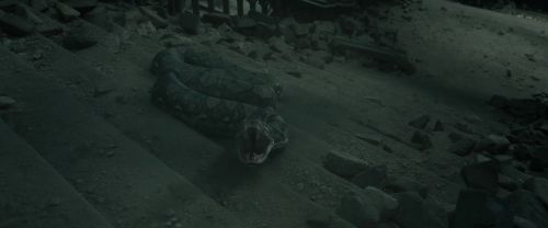 Click to view full size image
==============
RdM2-Potterish_12046.jpg RdM2-Potterish_12046.jpg