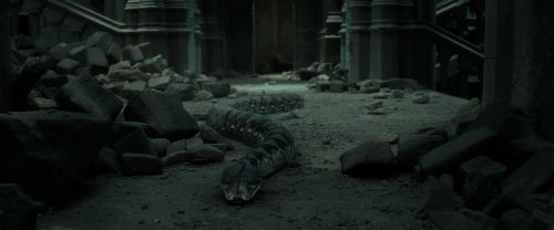 RdM2-Potterish_12076.jpg
