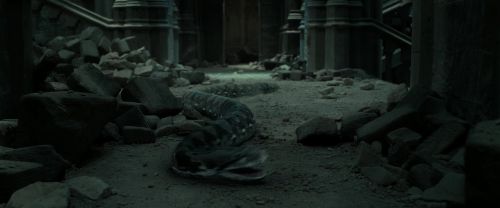 RdM2-Potterish_12078.jpg