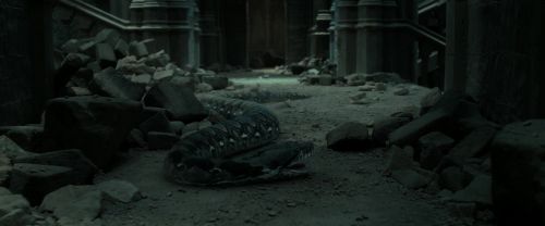 RdM2-Potterish_12079.jpg