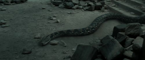 Click to view full size image
==============
RdM2-Potterish_12184.jpg RdM2-Potterish_12184.jpg