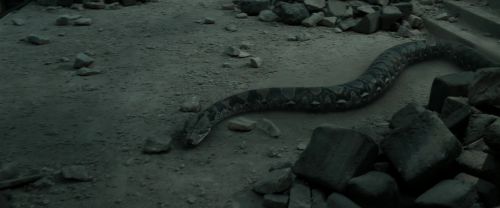 RdM2-Potterish_12185.jpg