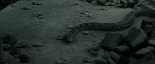 RdM2-Potterish_12186.jpg
