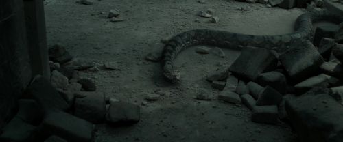 Click to view full size image
==============
RdM2-Potterish_12188.jpg RdM2-Potterish_12188.jpg
