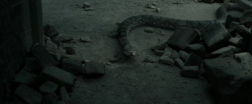RdM2-Potterish_12189.jpg