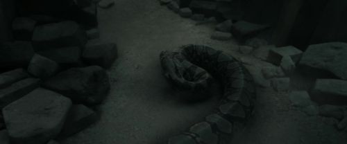 RdM2-Potterish_12199.jpg