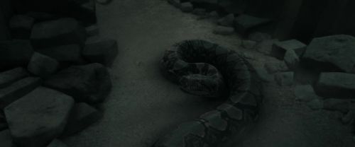 RdM2-Potterish_12200.jpg