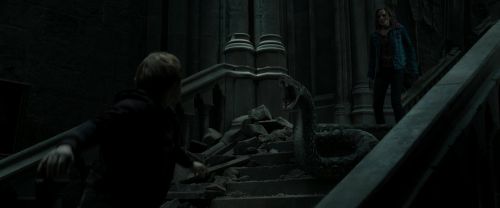 RdM2-Potterish_12210.jpg