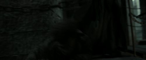 RdM2-Potterish_12276.jpg