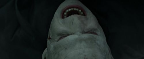 RdM2-Potterish_12338.jpg