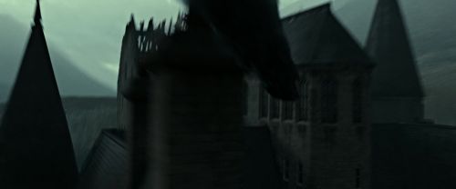 RdM2-Potterish_12354.jpg