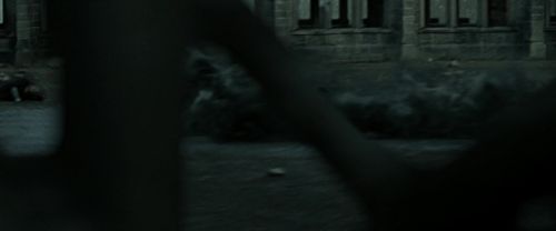 RdM2-Potterish_12395.jpg