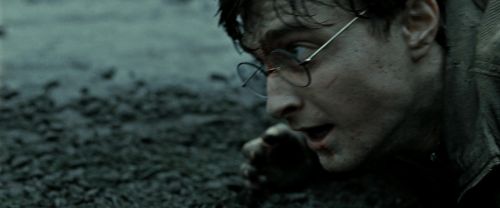 RdM2-Potterish_12413.jpg