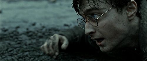 RdM2-Potterish_12414.jpg