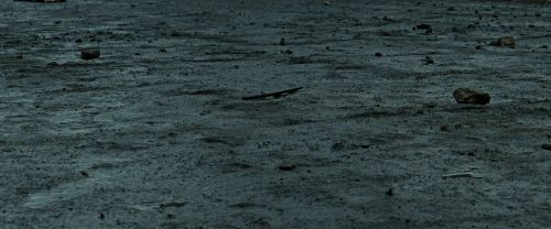RdM2-Potterish_12417.jpg