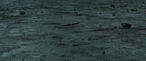 RdM2-Potterish_12419.jpg