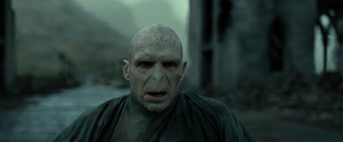 RdM2-Potterish_12439.jpg