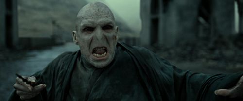 Click to view full size image
==============
RdM2-Potterish_12443.jpg RdM2-Potterish_12443.jpg