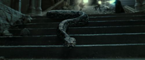 RdM2-Potterish_12460.jpg