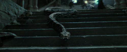 RdM2-Potterish_12461.jpg