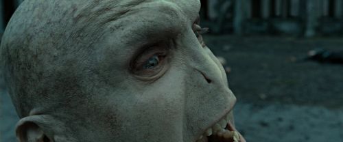 RdM2-Potterish_12469.jpg