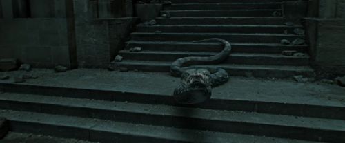 Click to view full size image
==============
RdM2-Potterish_12491.jpg RdM2-Potterish_12491.jpg