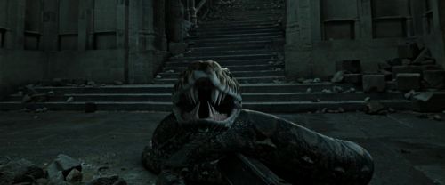 RdM2-Potterish_12495.jpg