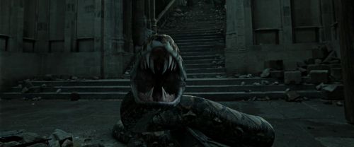 Click to view full size image
==============
RdM2-Potterish_12496.jpg RdM2-Potterish_12496.jpg