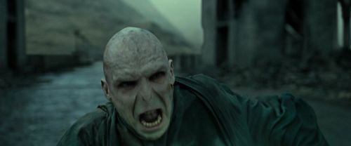 Click to view full size image
==============
RdM2-Potterish_12509.jpg RdM2-Potterish_12509.jpg