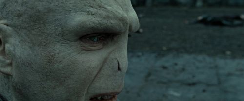 RdM2-Potterish_12529.jpg