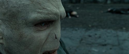 RdM2-Potterish_12530.jpg