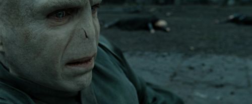 RdM2-Potterish_12532.jpg