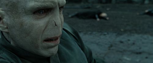 RdM2-Potterish_12533.jpg